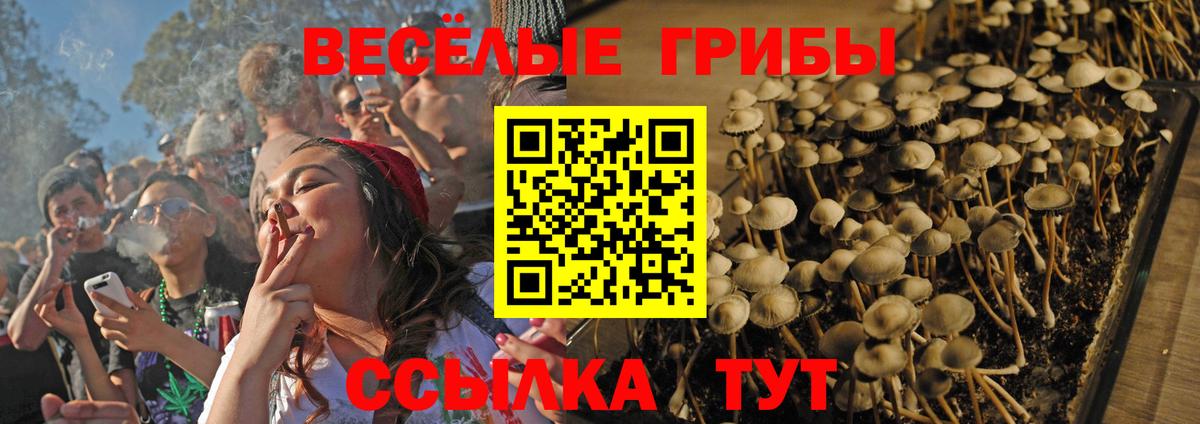 Галлюциногенные грибы ЛСД  Вход с VPN  Псилоцибиновые грибы прущие грибы  Ижевск 